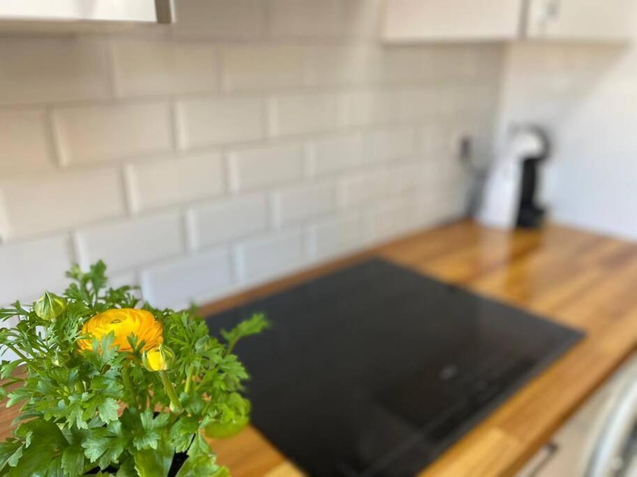 Apartamento Centrico-Parking Gratuito-Wifi Santander Exteriör bild